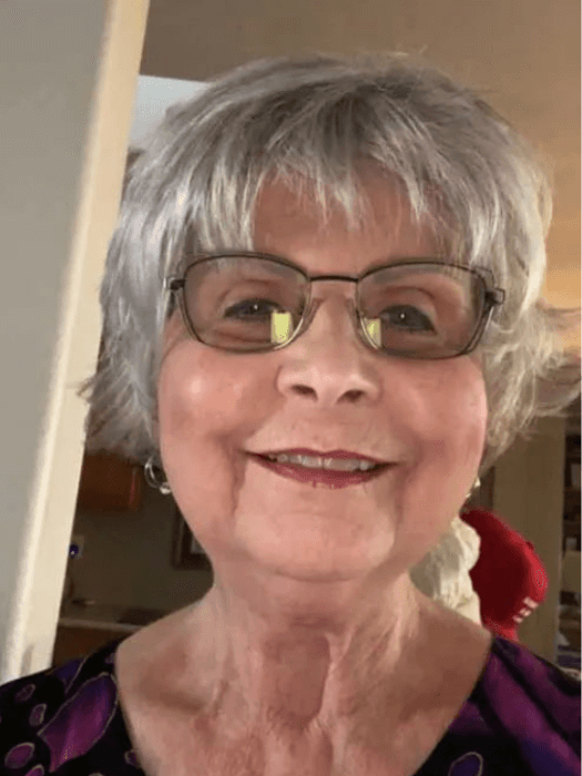 Short Light Gray Synthetic Wigs With Layered Wigs By imwigs®