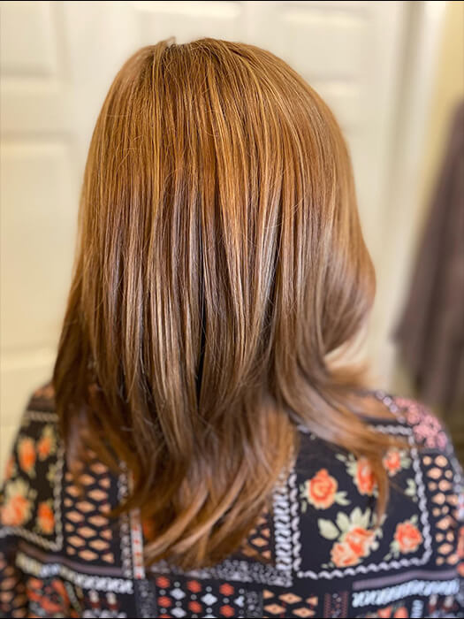 Medium Straight Side Part Layered Brown Synthetic Wig With Highlight By imwigs®
