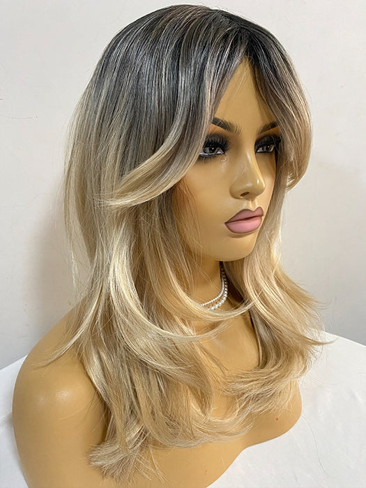 Ombre Long Layered Synthetic Wigs By imwigs®